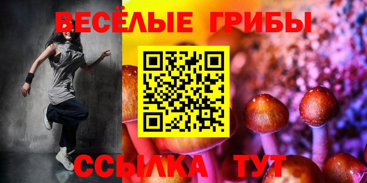 закладка  Галлюциногенные грибы GOLDEN TEACHER  Котовск  Вход с VPN  Галлюциногенные грибы ЛСД 